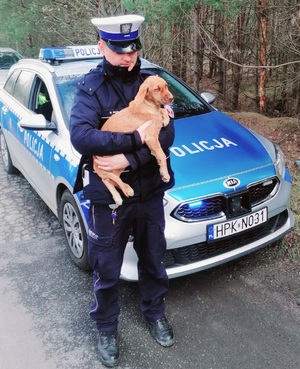 na tle radiowozu osobowego zaparkowanego przy lesie stoi policjant trzymając psa na rękach