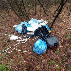 na ściółce leśnej leżą foliowe i plastikowe śmieci