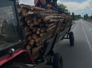 skład bali drzewa na wozie konnym przypiętym do ciągnika rolniczego