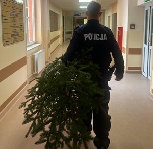 policjant niesie choinkę