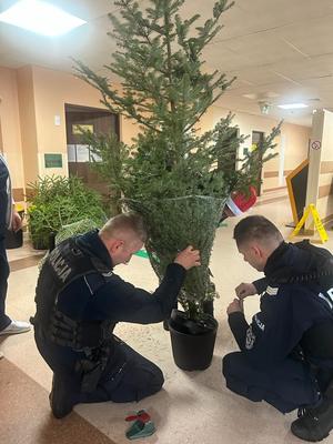 policjanci klęczą obok choinki