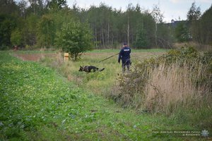 policjant trzyma psa owczarka belgijskiego na smyczy