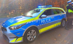 policjanci ruchu drogowego stoja przy radiowozie w tle las