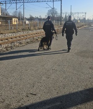 funkcjonariusz policji i służby ochrony kolei idą wzdłuż torów kolejowych, fot. kpp nisko