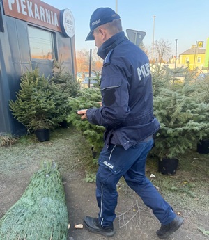 Kontrola punktu sprzedaży choinek