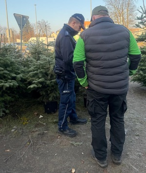 Kontrola punktu sprzedaży choinek