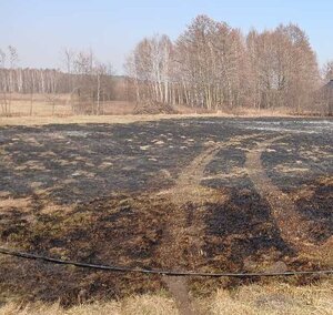 Zdjęcie przedstawia miejsce wypalania traw