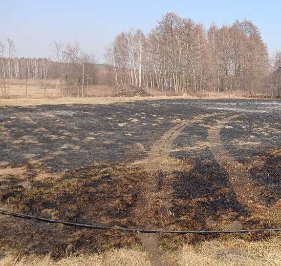 Zdjęcie przedstawia miejsce wypalania traw