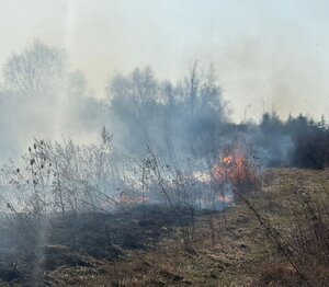 na zdjęciu widoczny jest policjant gaszący płonącą trawę
